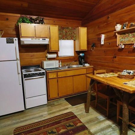 Alpine Mountain Sweetheart Cabin Jacuzzi #6 Helen Extérieur photo