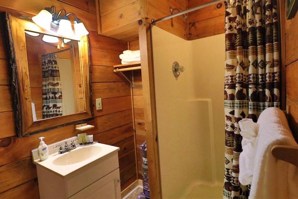 Alpine Mountain Sweetheart Cabin Jacuzzi #6 Helen Extérieur photo