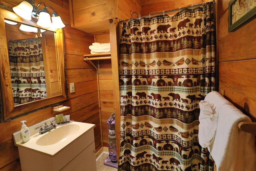 Alpine Mountain Sweetheart Cabin Jacuzzi #6 Helen Extérieur photo